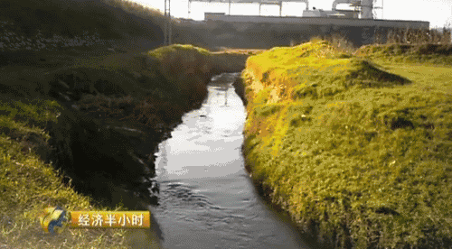 0.gif